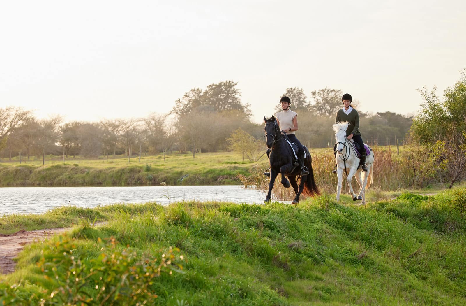 shot-of-two-young-women-riding-their-horses-outsid-2022-09-27-00-09-52-utc