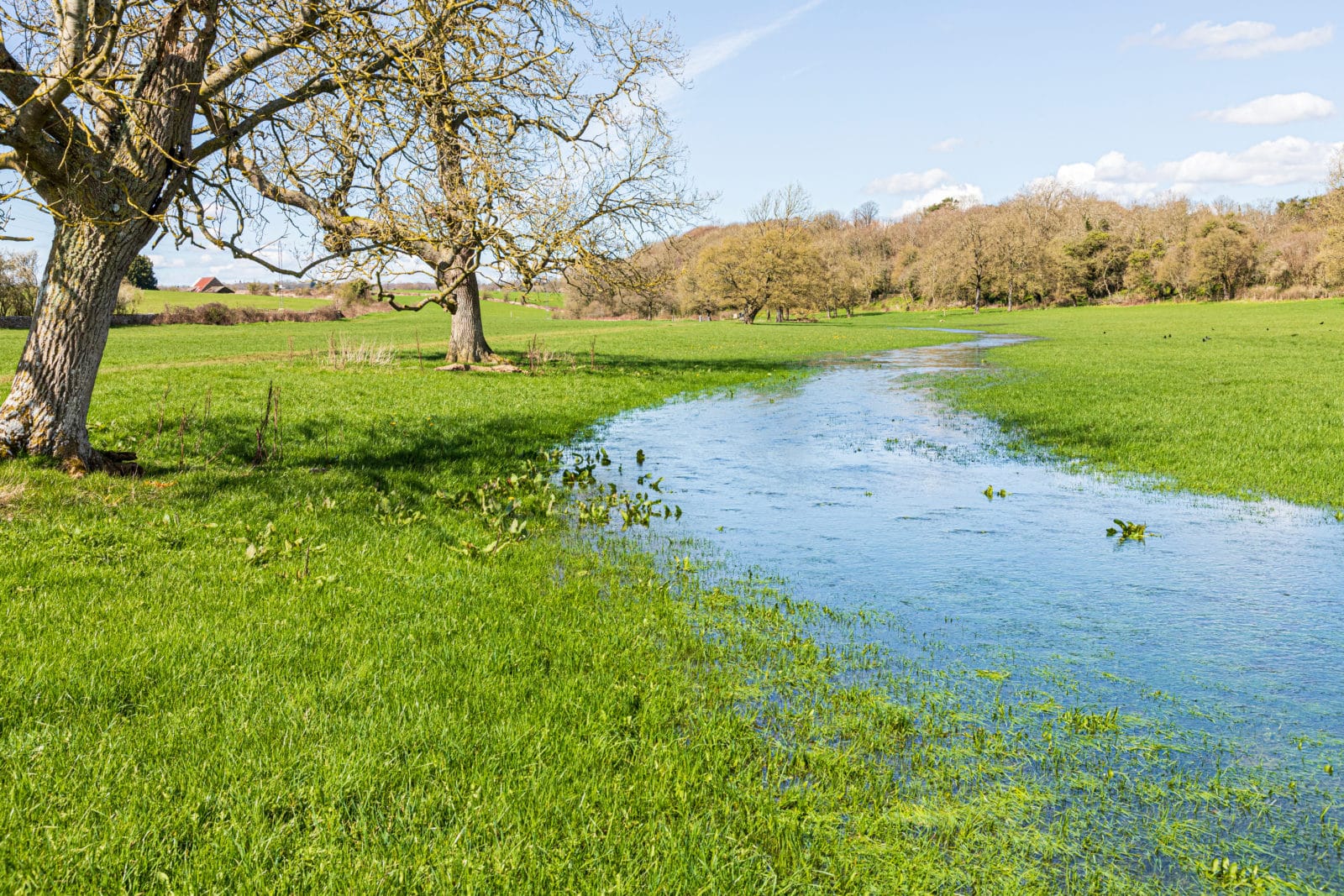 The Thames Path long distance walking trail beside the infant River Thames 350 metres from its source at Thames Head on the Cotswolds near Kemble, Gloucestershire, England UK