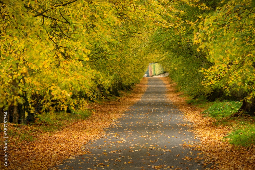 AdobeStock_387131754_Preview