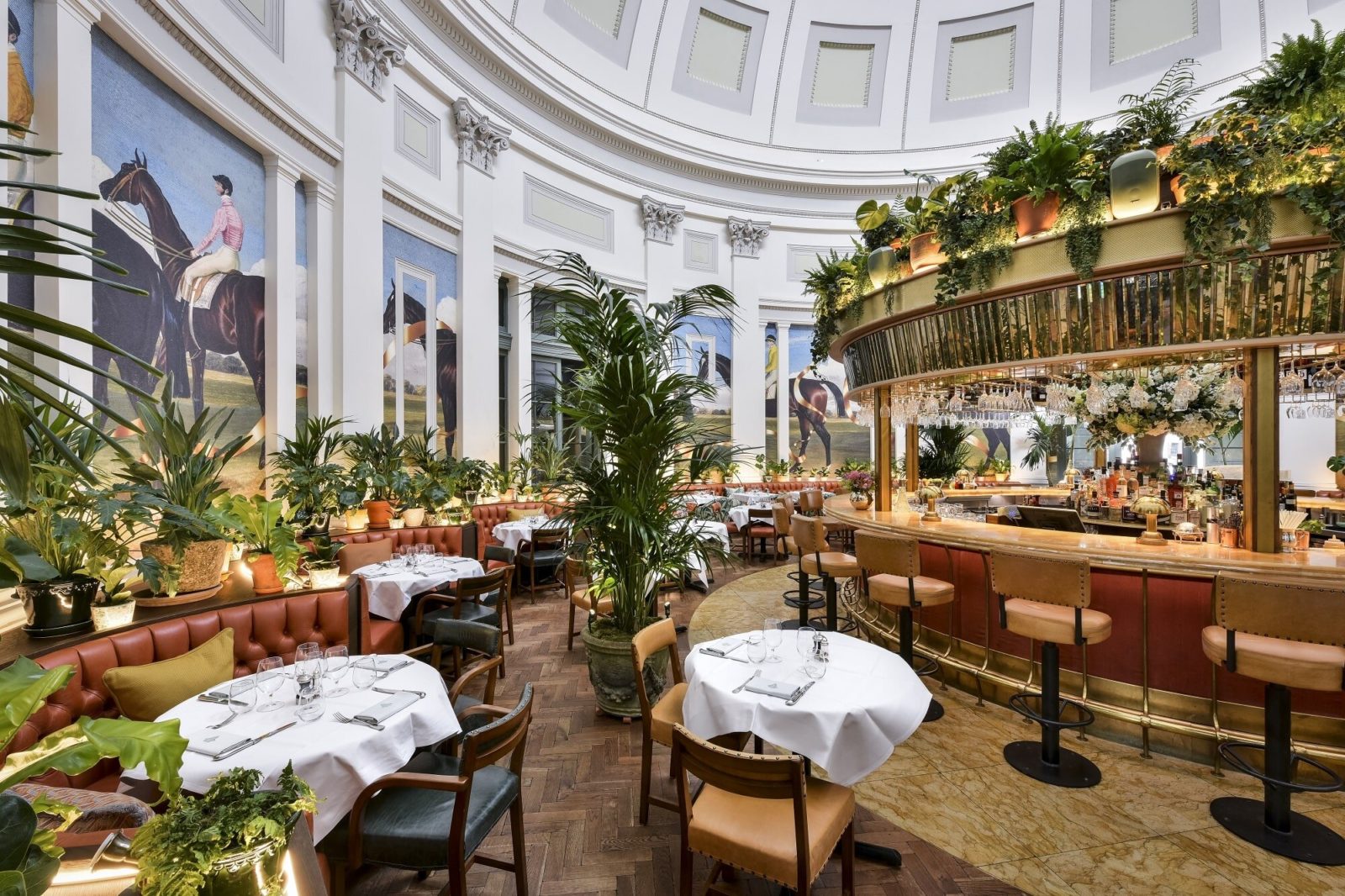 Interior photo of the The Ivy