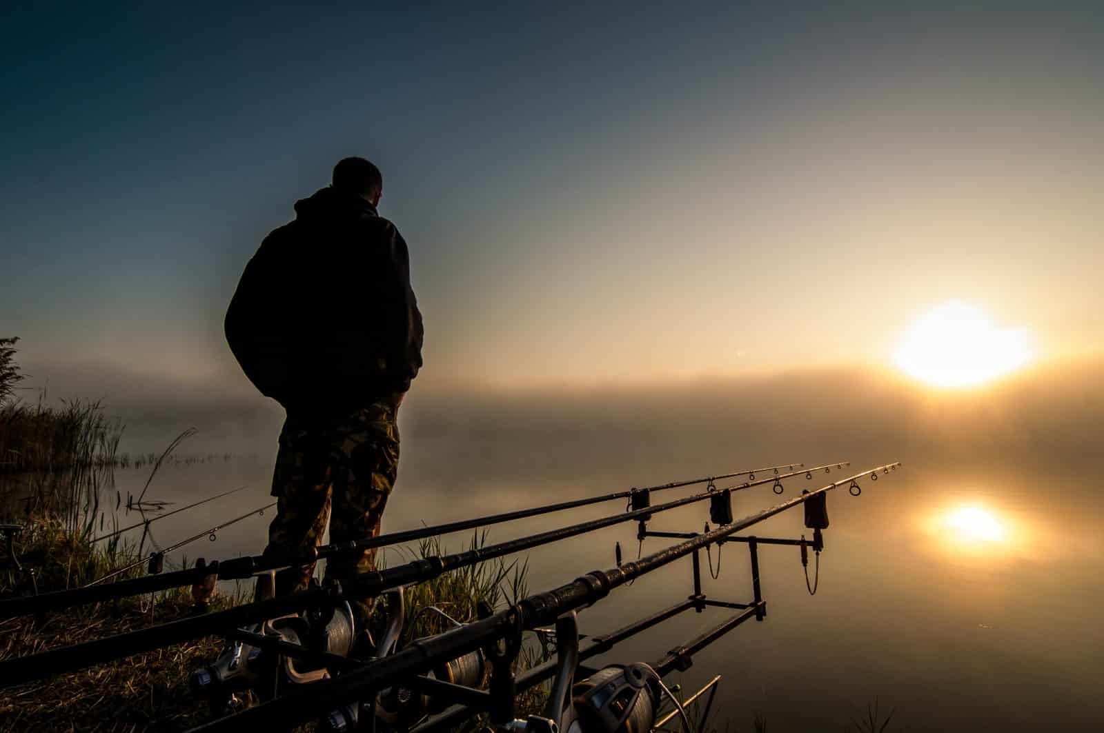fishing rods carp fishing